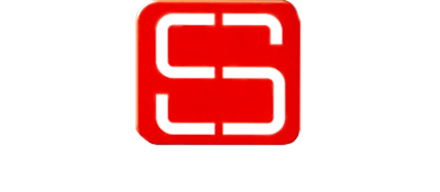 Driving Emotion Type-S logo for Playstation 2